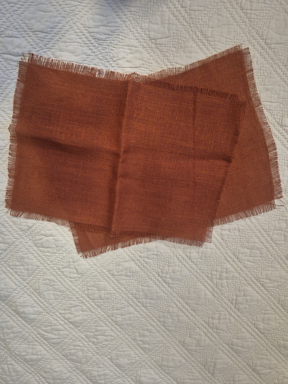 2 Burnt Orange Woven Fringe Placemats Fall Thanksgiving Decor